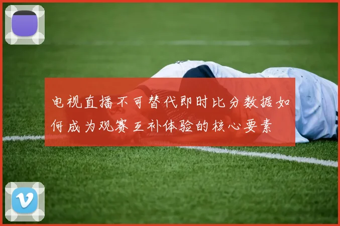 电视直播不可替代即时比分数据如何成为观赛互补体验的核心要素